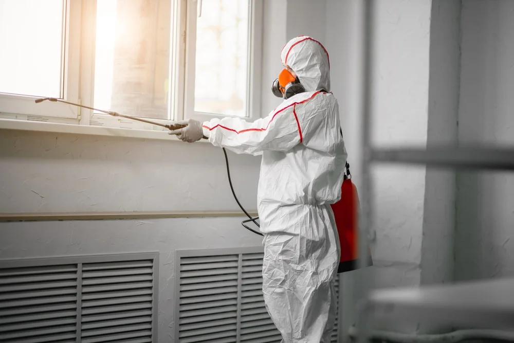Professional mold remediation services in Lattimer Mines, PA